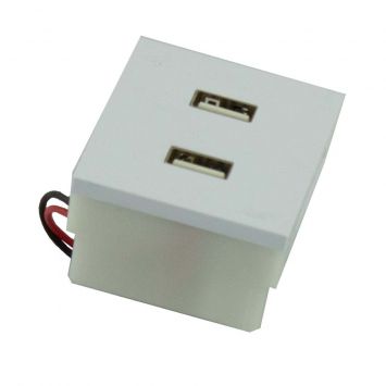 Modulo toma usb 2a doble  platinum blanco jeluz